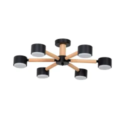 Потолочная люстра Arte Lamp