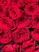 Букет Красная роза 31шт.