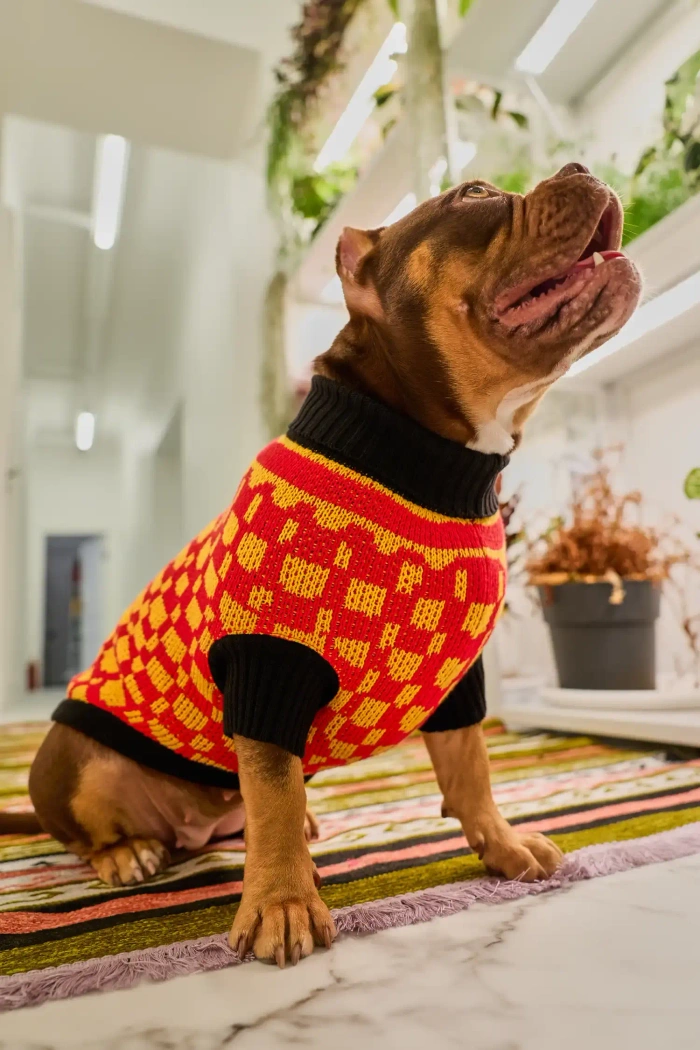 Для собачки