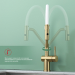 Смеситель для кухни со съемным изливом на магните Raglo R86.41.03, золотой сатин