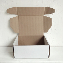 Почтовая коробка 22 х 16,5 х 10 см, тип Д, белая