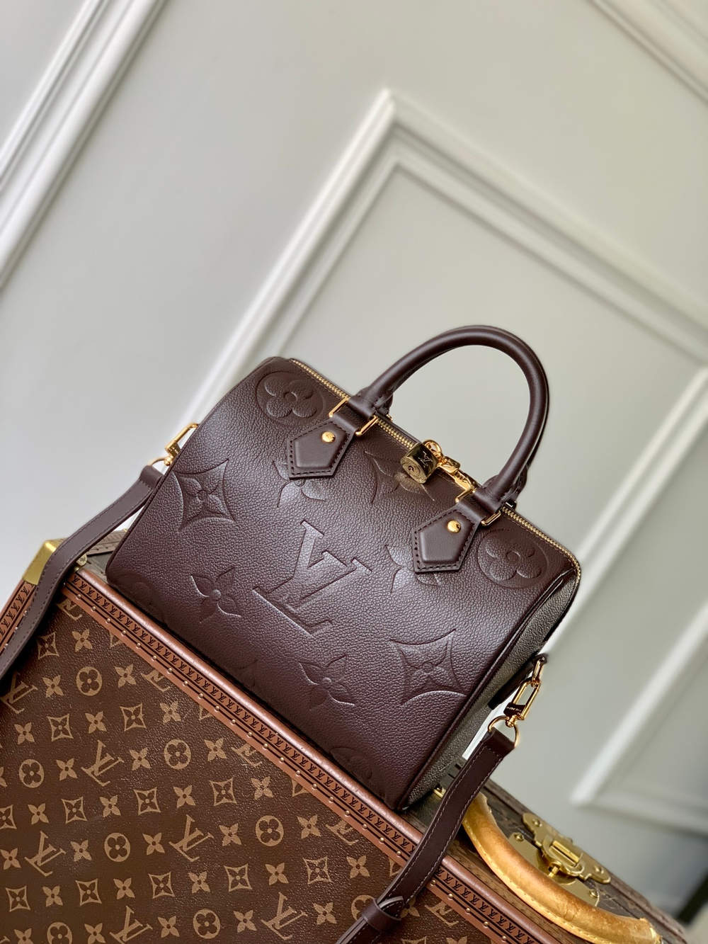 Louis Vuitton Speedy 25