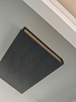 Мемуары маршала