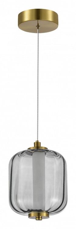 Подвесной светильник ST-Luce Summer SL1193.313.01