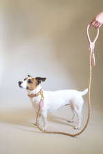 Ошейник "Кантри-пони" Розовый (льняной канат)