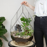 Готовый флорариум бонсай Лигуструм с водопадом Будда Фаберже