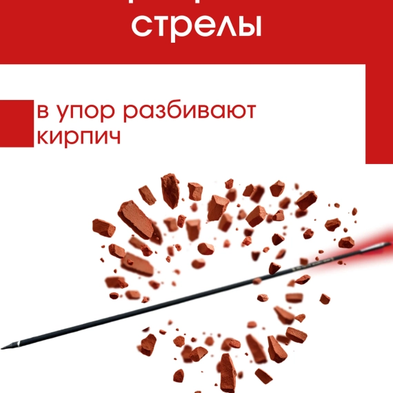 Стрелы для лука охотничьи 80см микс карбоновые спортивные GROZA (Синие 6шт.)