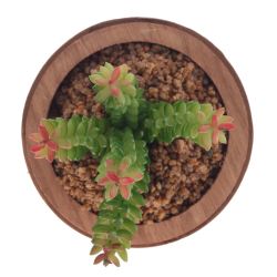 GAEM Цветочная композиция "Суккулент", L19 W19 H24 см