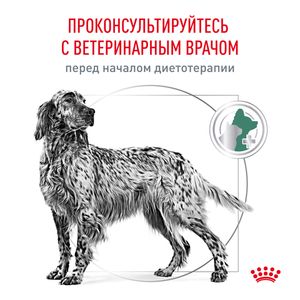 Уценка! Срок до 05.2024/ Корм для собак, Royal Canin Diabetic DS37, при сахарном диабете