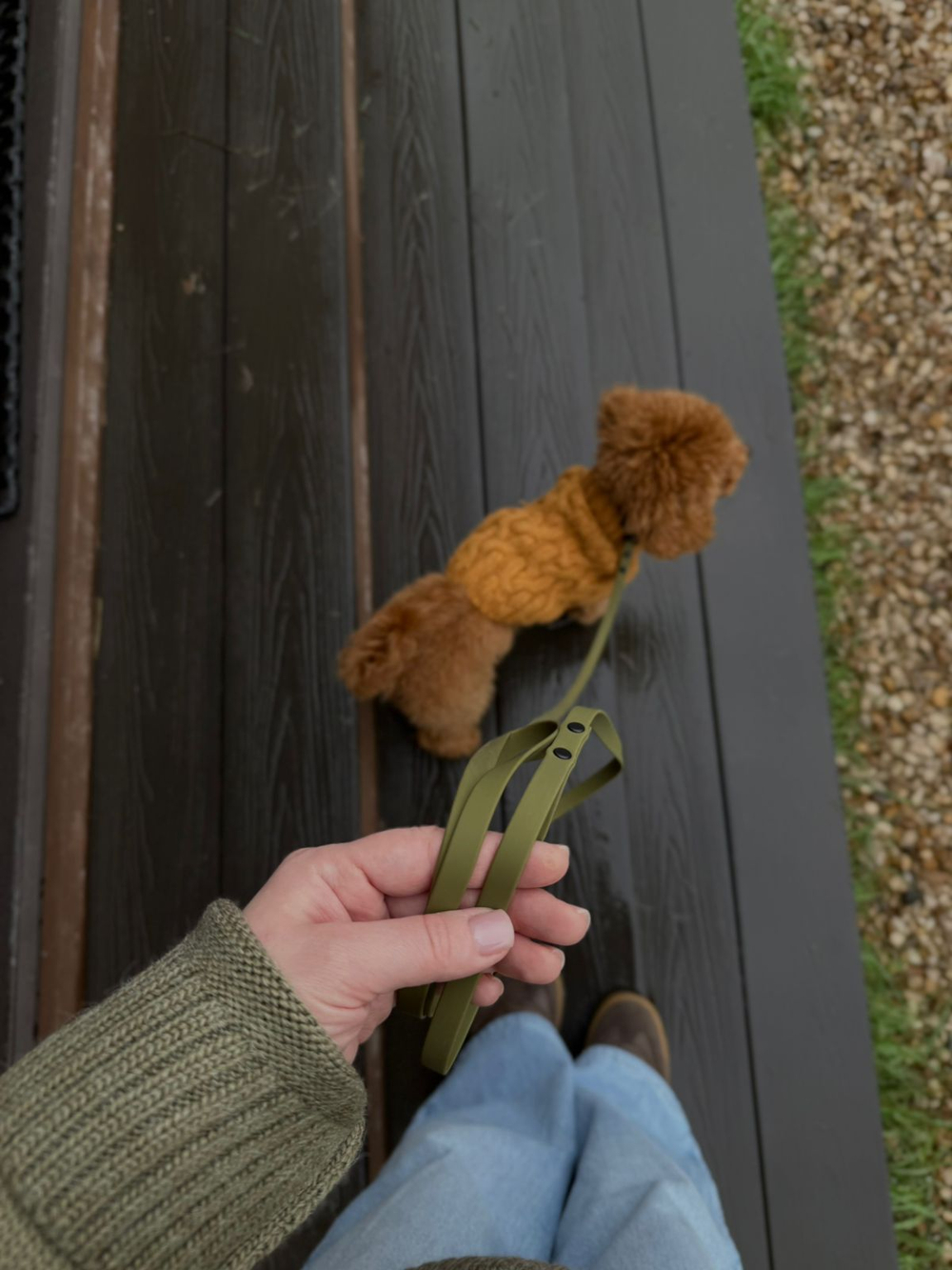 Поводок для мальтпу , мелких собак , 10 мм , 3 м , хаки