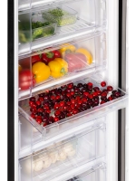 Морозильник Nord NFR 173 B