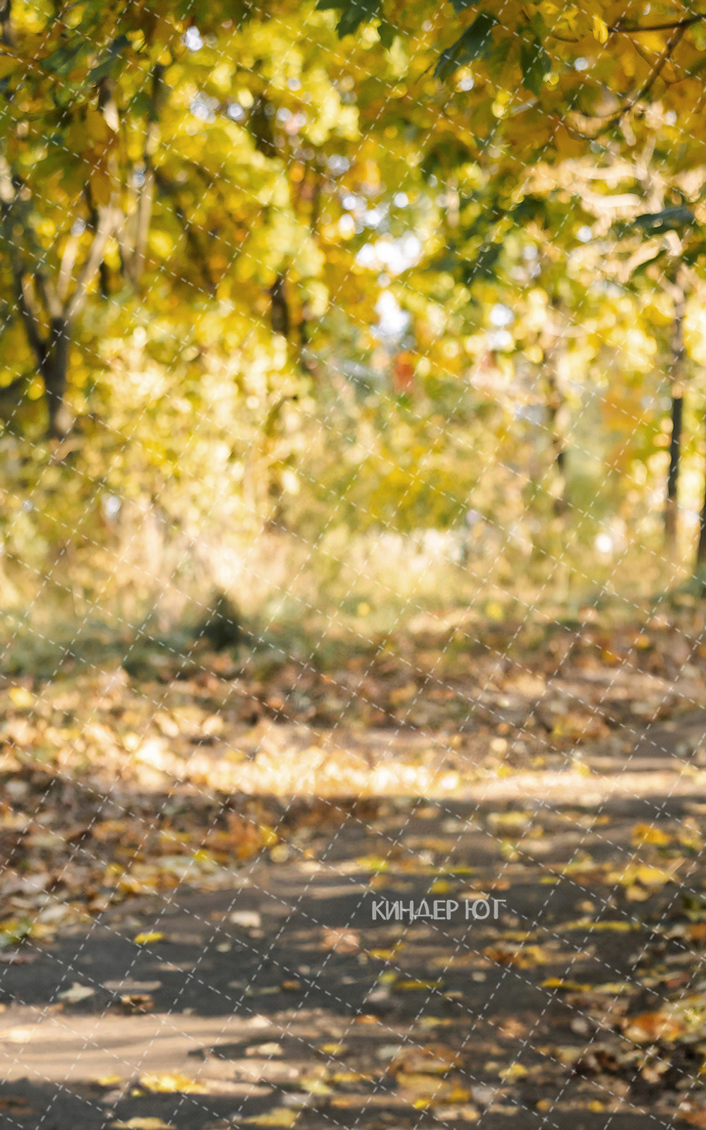 Фотофон "Осень" арт. ФФ906-57