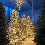 Ель подвесная потолочная «Люстра» с встроенной гирляндой