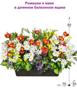 Ромашки и маки в длинном балконном ящике