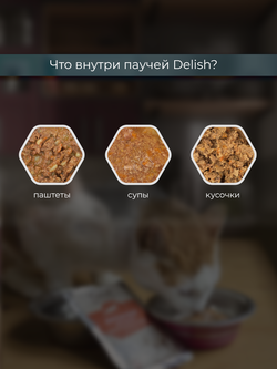 НАБОР Консервы DELISH Super Premium для кошек (суп) с тунцом и овощами - 10 шт х 80 гр