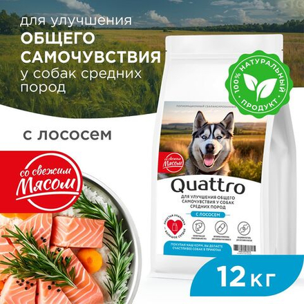 Корм сухой для взрослых собак средних пород, премиум полнорационный комплекс, улучшение общего самочувствия, с лососем, 12 кг, QUATTRO