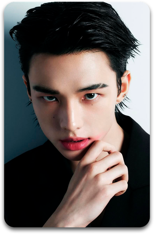 Карта / STRAY KIDS #4663