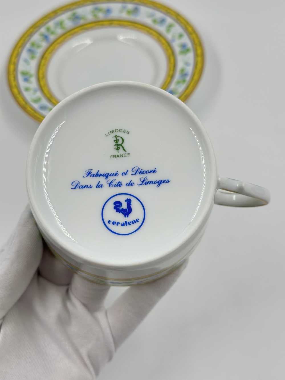 Чайная пара Raynaud Ceralene, Morning Glory Spray