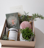 новогодний подарок со свечой и суккулентом