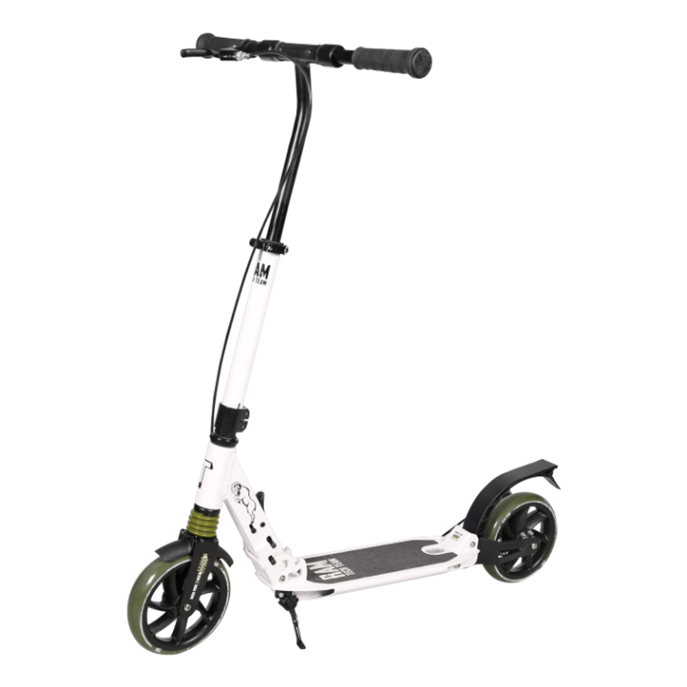 Самокат TechTeam Ram 2020