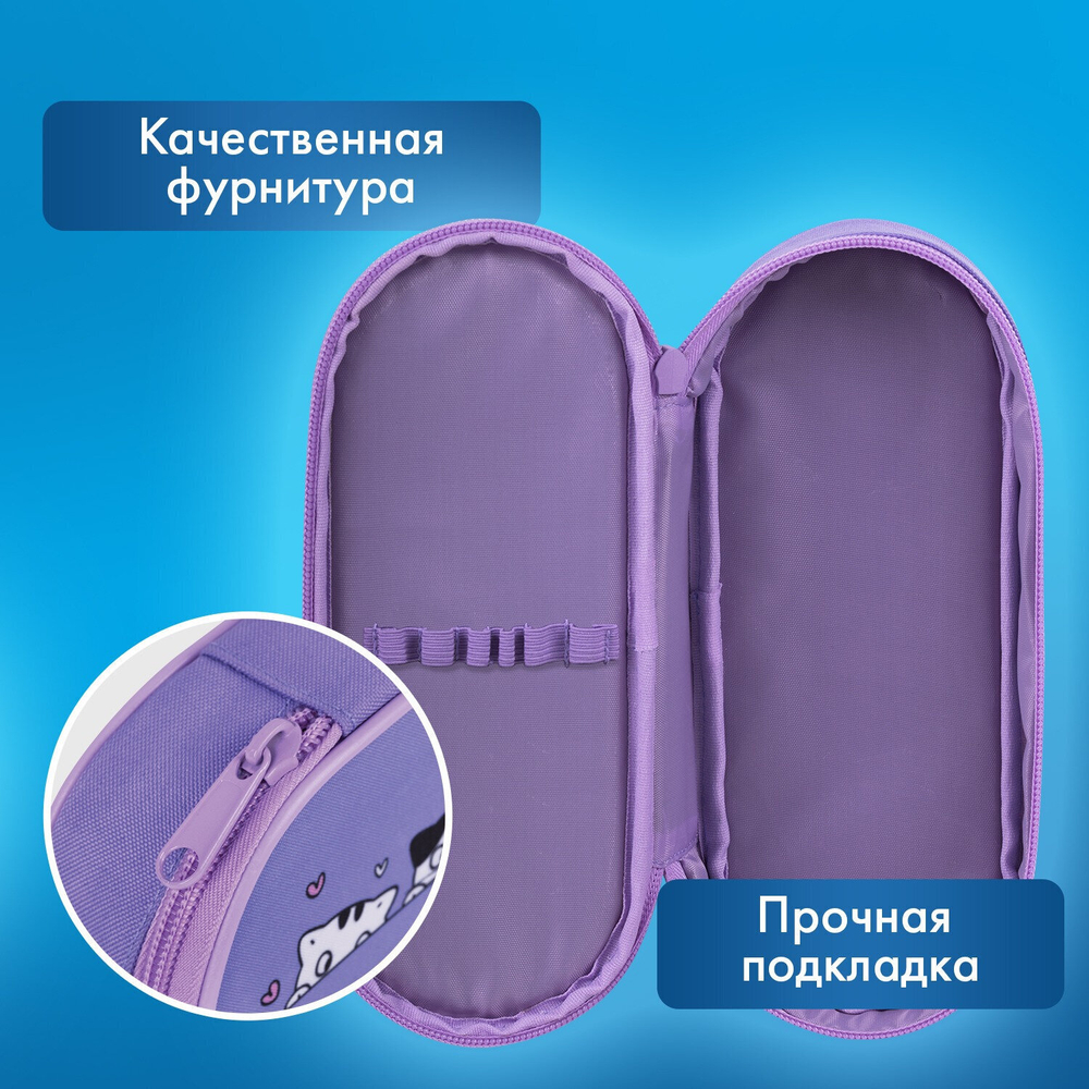 Пенал-футляр BRAUBERG 1 отделение органайзер полиэстер 22x9х5 см "Meow" (2 штуки в упаковке)