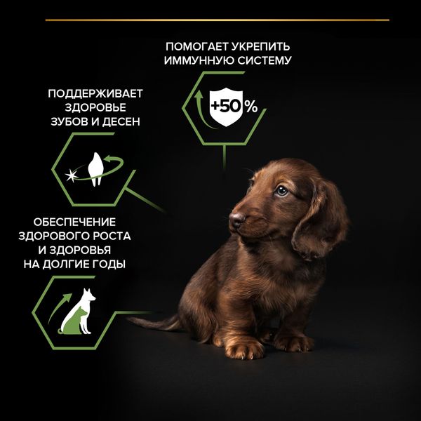 Сухой корм Pro Plan для щенков мелких и карликовых пород, с высоким содержанием курицы