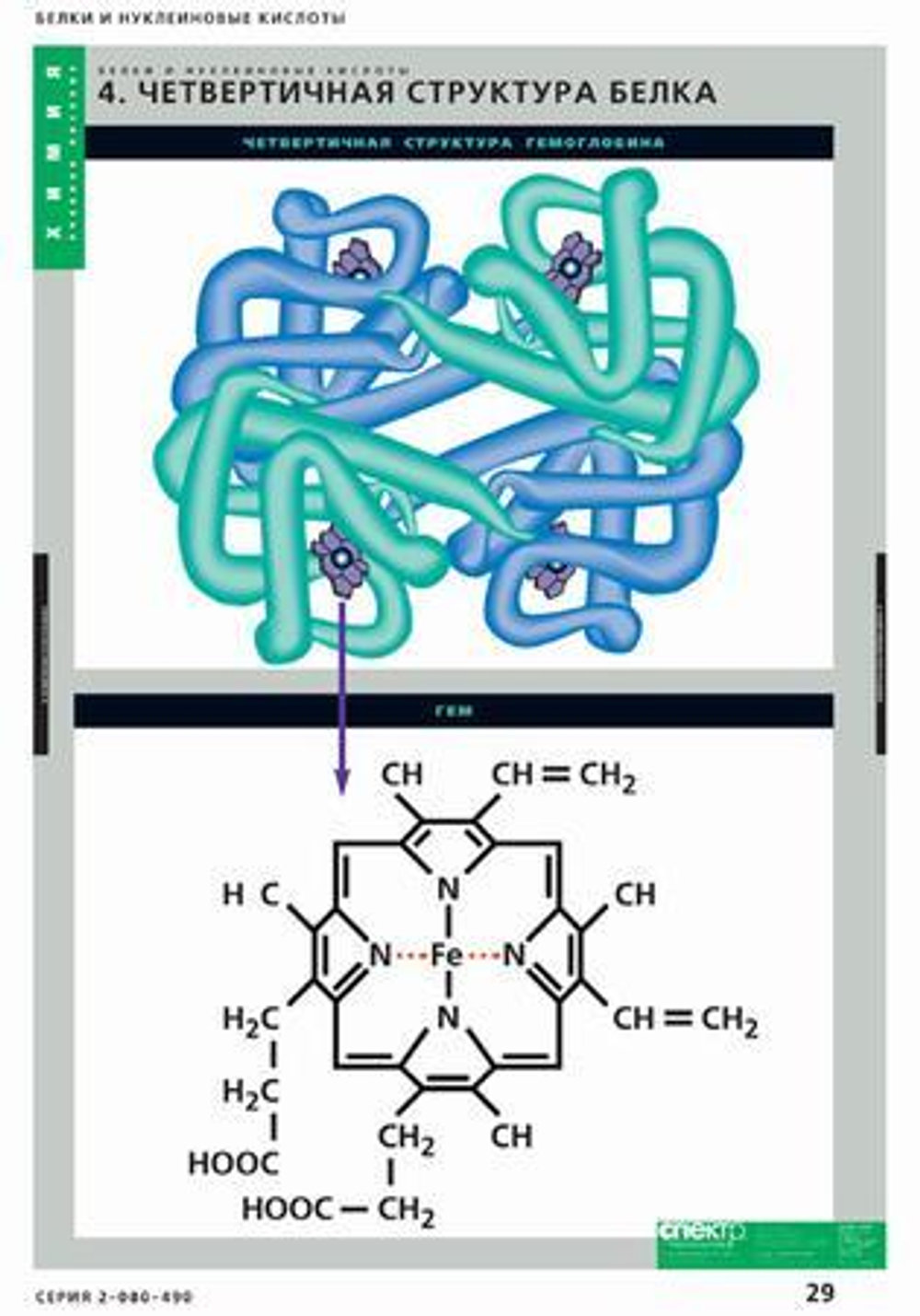 Комплект таблиц «Белки и нуклеиновые кислоты»; 8 таблиц