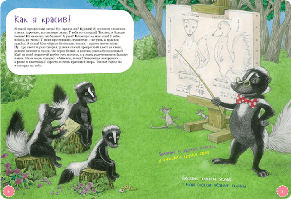 Я скунс. Занимательная зоология