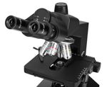 Микроскоп Levenhuk 890T, тринокулярный