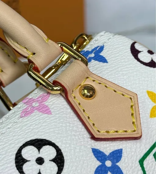 Сумка LOUIS VUITTON х TM Speedy 25