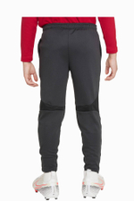 Штаны Nike Liverpool FC 22/23 Dry Academy Pro Little Kids