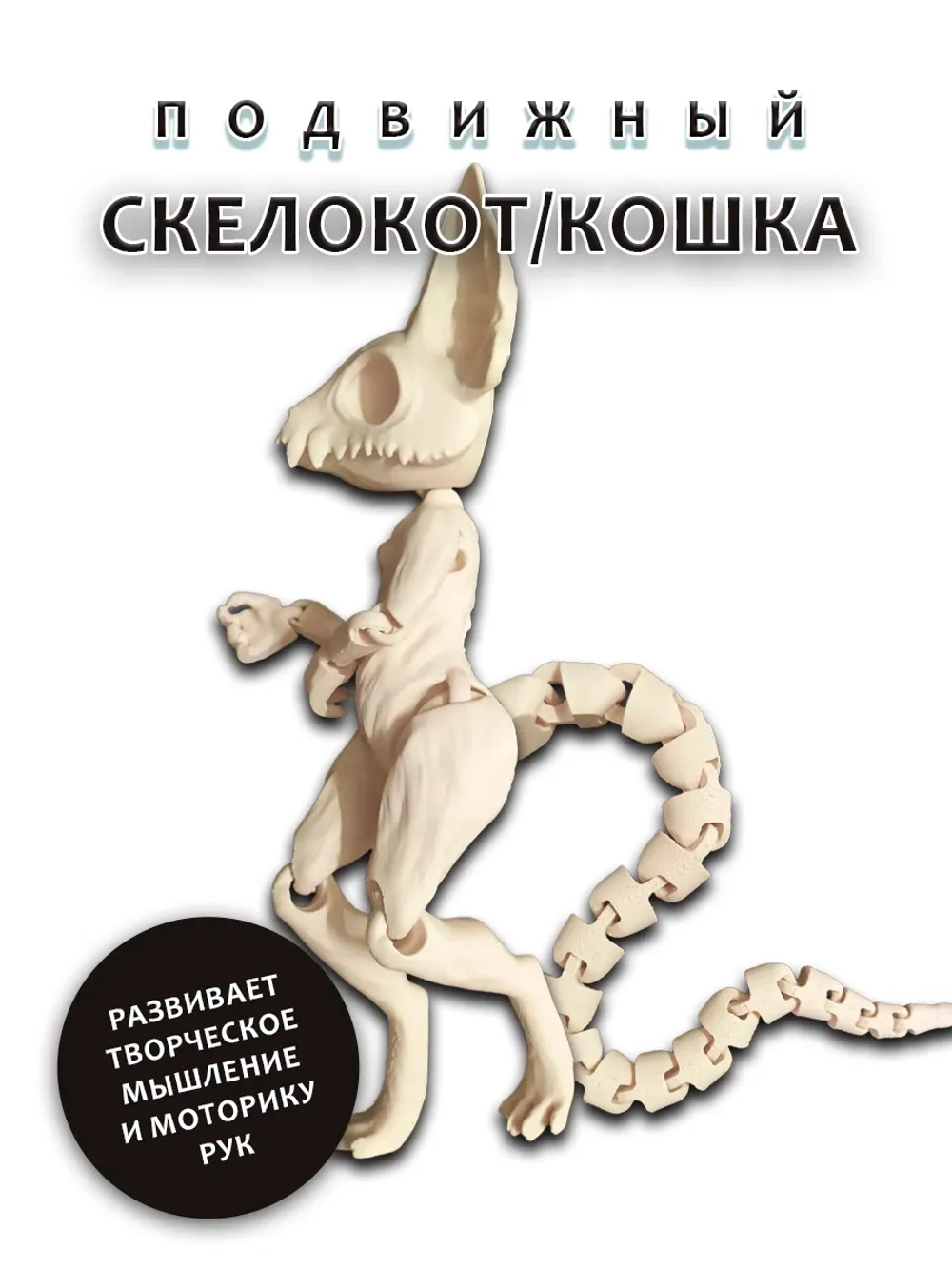 Скелет Кошки