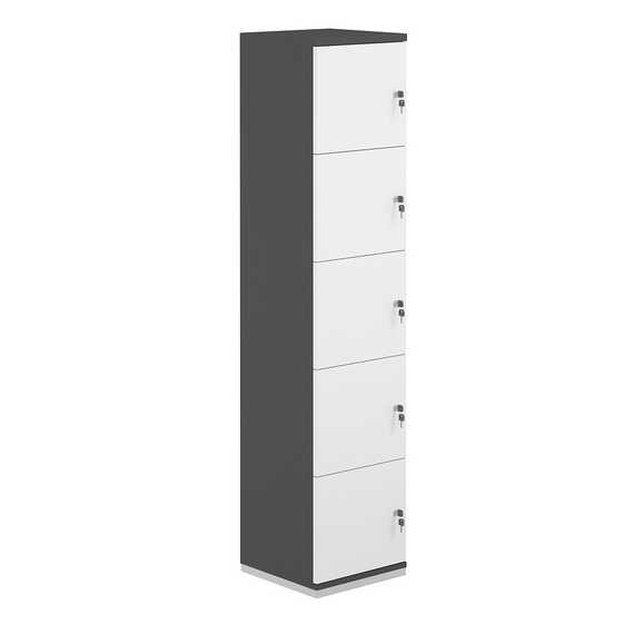 Локер Аллегро 5 яч 400х400х1833 AG.232