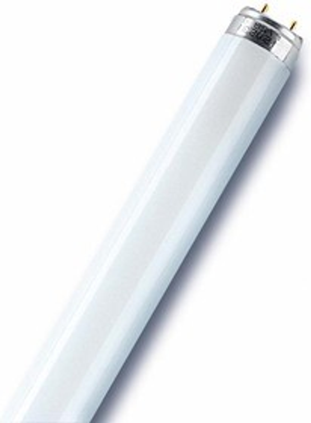 Лампа люминесцентная 18Вт T8 6500К G13