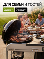 Угольный гриль Weber Performer Premium GBS 57 см