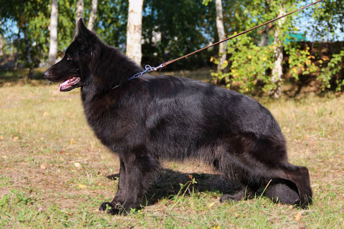 Адерхайден Хоф ЖАННЕТ