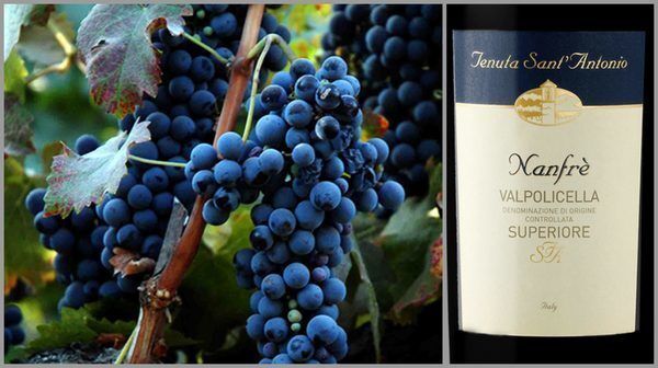Вино недели с 13 ноября - Tenuta Sant&#39; Antonio Valpolicella Nanfre