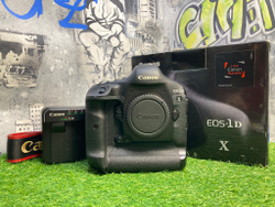 Canon EOS 1DX (257.000 кадров)