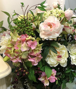 Гортензия Алтона зелёно-розовая