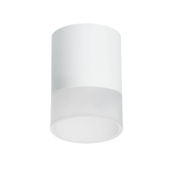 Комплект с потолочным светильником Lightstar Rullo (213486+202481) R348681