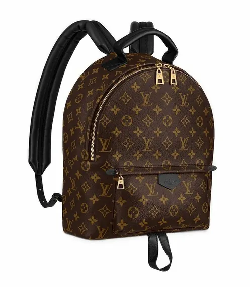 Рюкзак Louis Vuitton Palm Springs PM коричневый