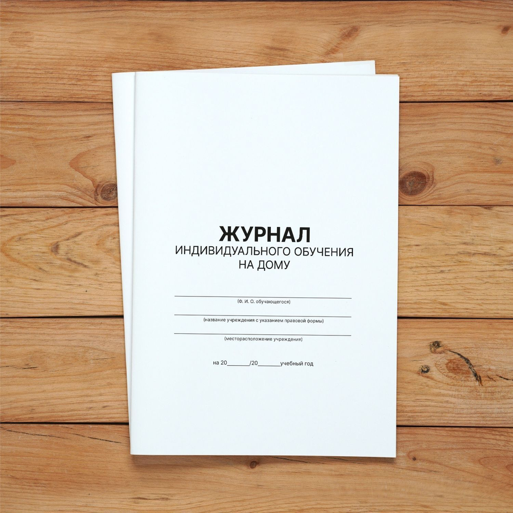 3 шт Журнал учета индивидуального обучения на дому