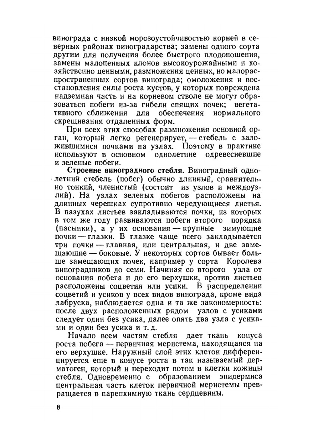 Виноградный питомник | А.Г. Мишуренко