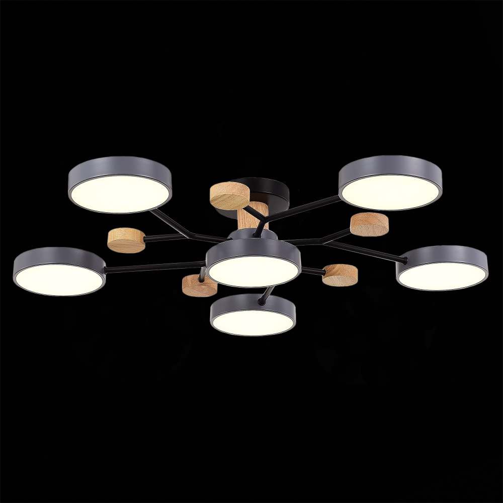 Светильник потолочный Evoluce Faema SLE6006-702-06