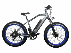 Электрофэтбайк Volt Age ALL ROAD W