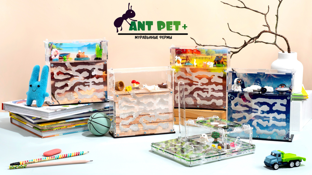 Муравьиная ферма с муравьями в подарок "Капибара на пляже"