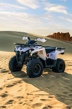 Квадроцикл SHARMAX Hummer 300