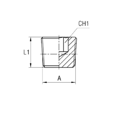 Заглушка (Ш) BSPT 1/4