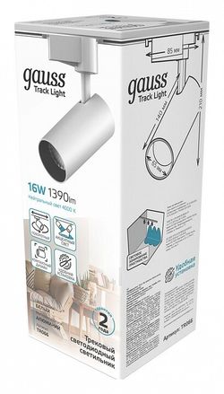 Светильник на штанге Gauss TR TR066