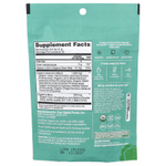 Four Sigmatic, Gut Health, органическая смесь грибов, без кофеина, 60 г (2,12 унции)